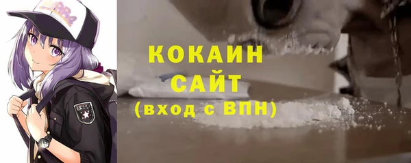 мдпв Осташков